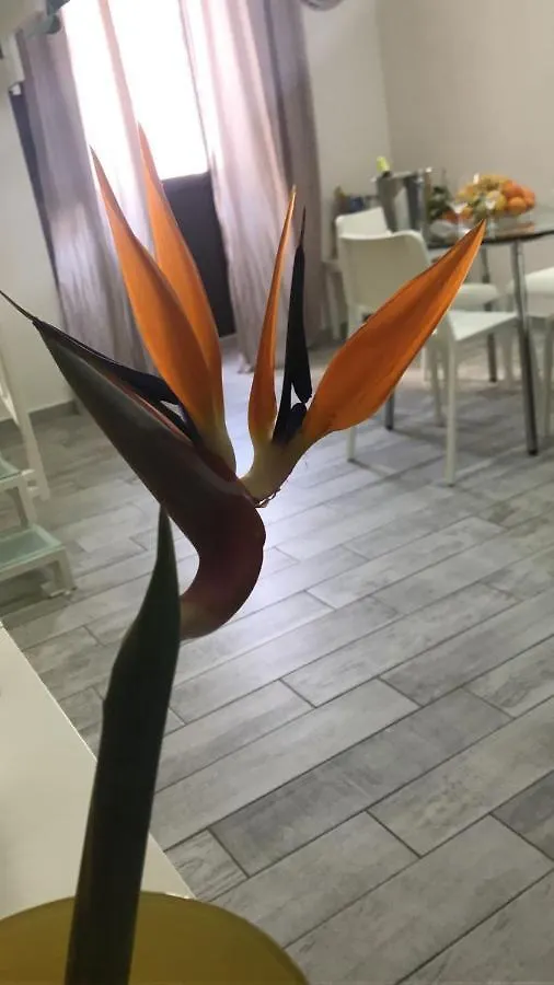 Apartment Via Scuto 0*, Catania Italy