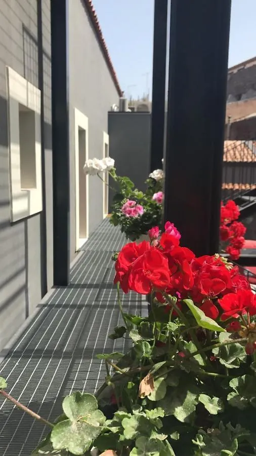 Apartment Via Scuto